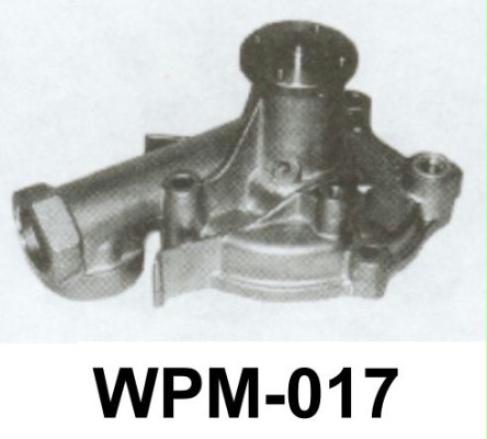 ŪdensSŪKNIS WPM017 HEPU/P7723 590-127