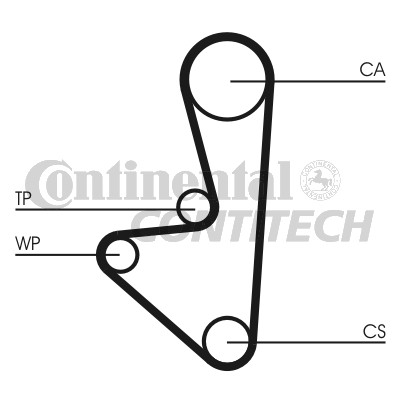 zobsiksna CT564  =CT718----