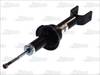 amortizators AG4010MT 230435 312370