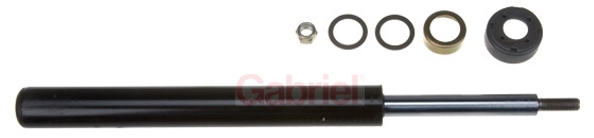 amortizators G44902  ELITE/365008 100594