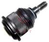 LODBALSTS 21381  31121126254 bmw41 TC284