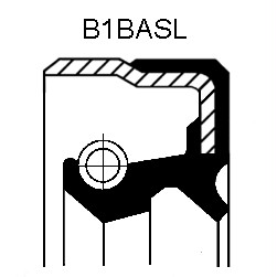 Blīvslēgs 40X60X10/12 01034065B