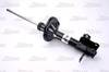 amortizators AG3006MT