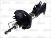 amortizators AGW009MT
