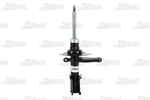 Amortizators AGY022MT