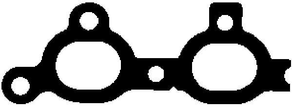 Blīve, Izplūdes kolektors