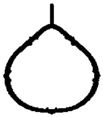 Blīve, Ieplūdes kolektors