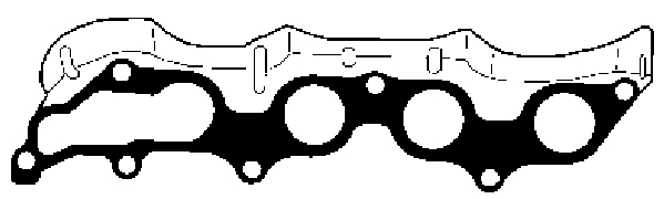 Blīve, Izplūdes kolektors