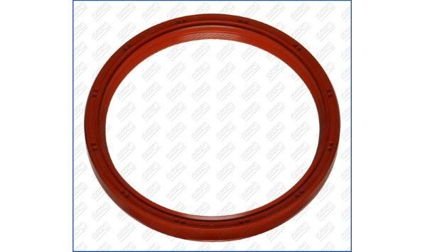 Vārpstas blīvgredzens, Kloķvārpsta