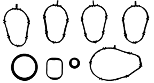 Blīvju komplekts, Ieplūdes kolektors