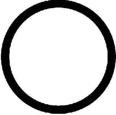 Blīve, Izplūdes kolektors