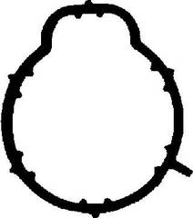 Blīve, Ieplūdes kolektors