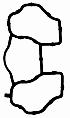 Blīve, Ieplūdes kolektors