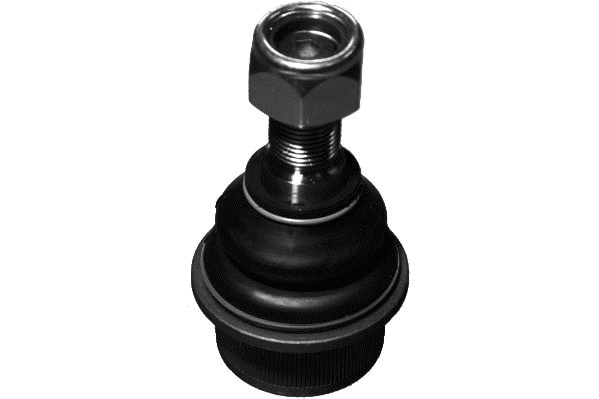 lodbalsts FI-BJ-4965