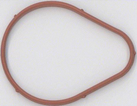 Blīve, Ieplūdes kolektors