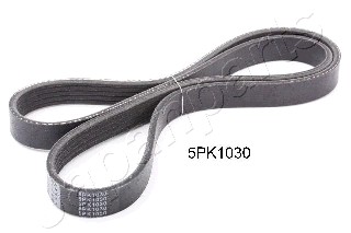 Siksna DV-5PK1030