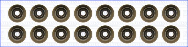 Blīvju komplekts, Vārsta kāts