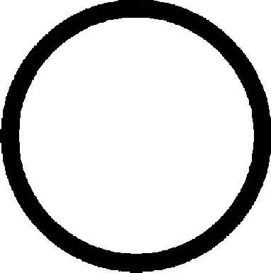 Blīve, Ieplūdes kolektors