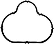 Blīve, Ieplūdes kolektors