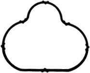 Blīve, Ieplūdes kolektors