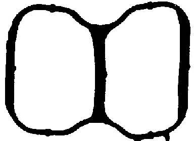 Blīve, Ieplūdes kolektors