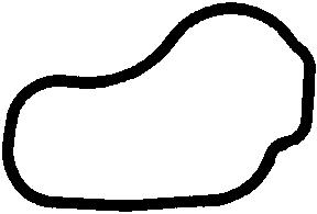 Blīve, Ieplūdes kolektors