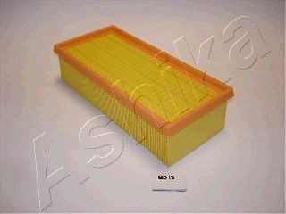 Gaisa filtrs
