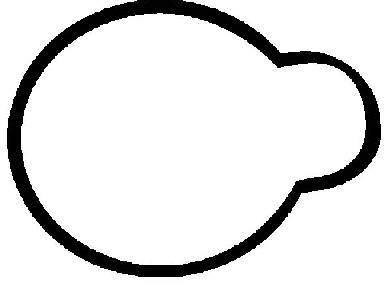 Blīve, Ieplūdes kolektors