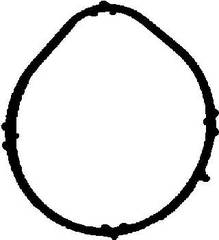 Blīve, Ieplūdes kolektors