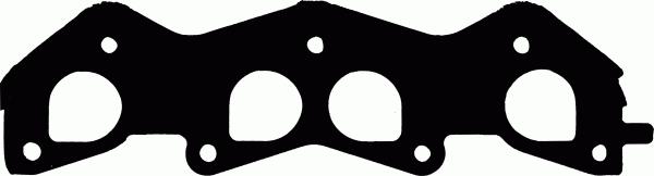 Blīve, Izplūdes kolektors