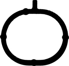 Blīve, Ieplūdes kolektors