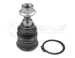 Lodbalsts 31-160100013