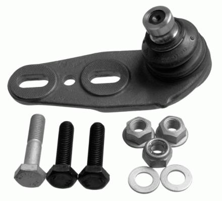 Lodbalsts 1004102  1004104