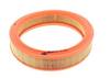 Filtrs CAF100110R
