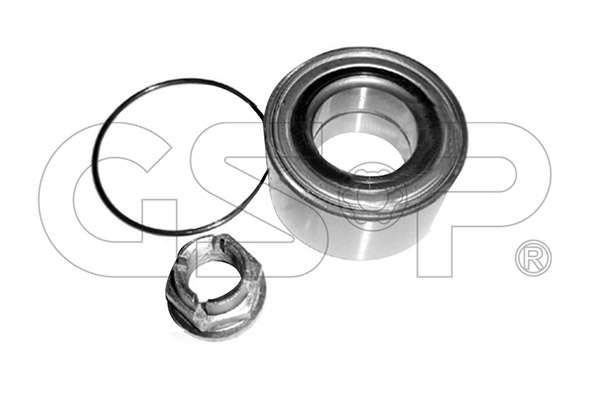 Riteņa rumbas gultņa komplekts