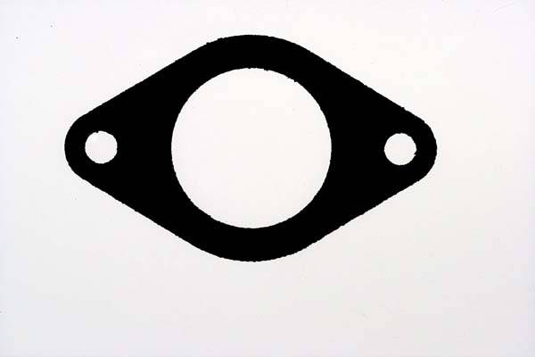 Blīve, Izplūdes kolektors