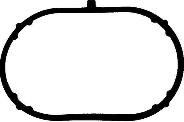 Blīve, Ieplūdes kolektors