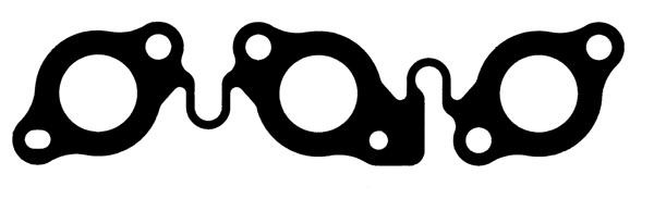 Blīve, Izplūdes kolektors