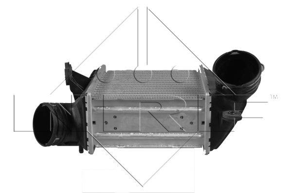 151588820170605-24673-7odbxh