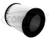 gaisa filtrs 80004665