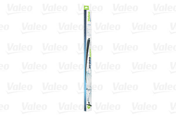 490070420170920-12905-hylatb