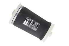 Pneimoatsperes spilvens 40-221595