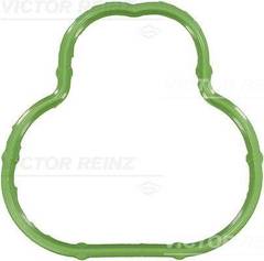 Blīve, Ieplūdes kolektors