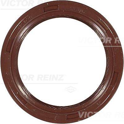 Vārpstas blīvgredzens, Kloķvārpsta