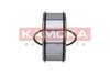 gultnis 5600042