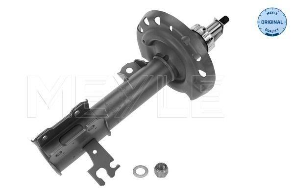 Amortizators 6266230007