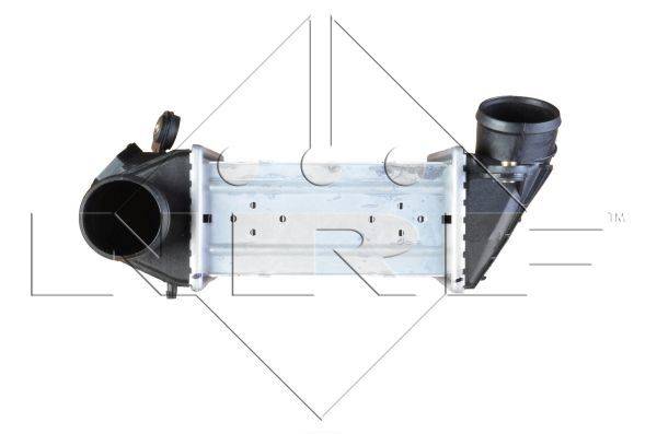 84552016729367620191116-10517-1luh9vo