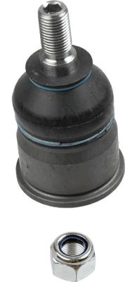 Balstšarnīrs 2268802