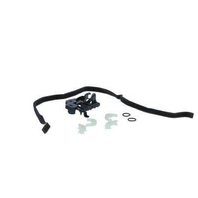 Siltummainis, Salona apsilde