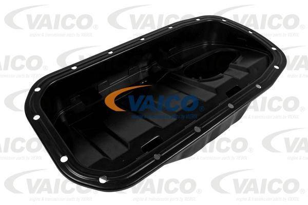 Eļļas vācele V46-0613